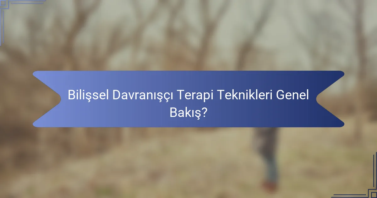 Bilişsel Davranışçı Terapi Teknikleri Genel Bakış?