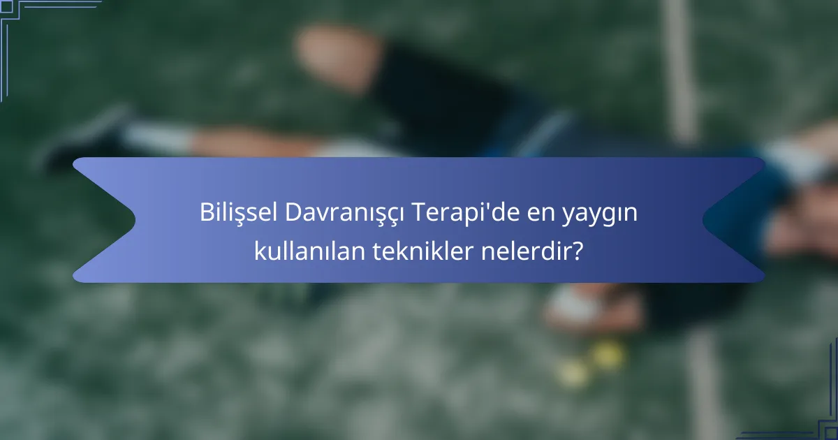Bilişsel Davranışçı Terapi'de en yaygın kullanılan teknikler nelerdir?