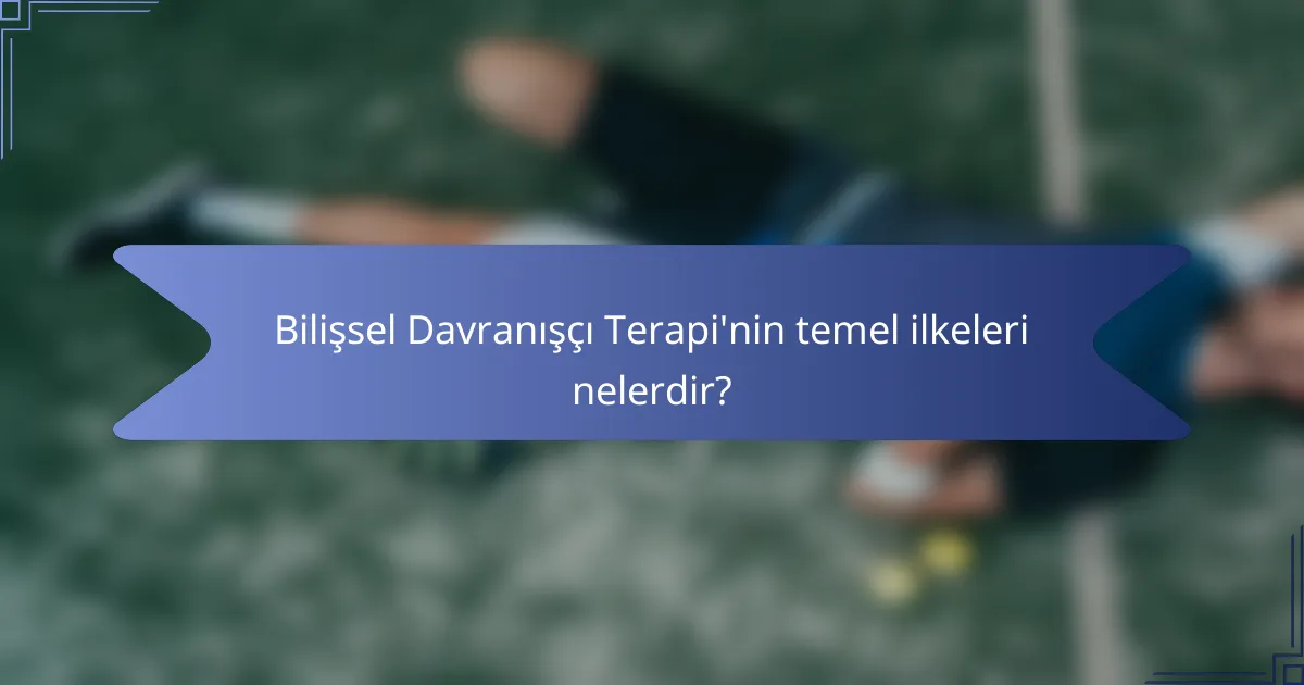 Bilişsel Davranışçı Terapi'nin temel ilkeleri nelerdir?