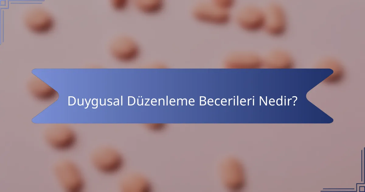 Duygusal Düzenleme Becerileri Nedir?