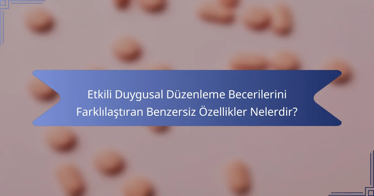 Etkili Duygusal Düzenleme Becerilerini Farklılaştıran Benzersiz Özellikler Nelerdir?