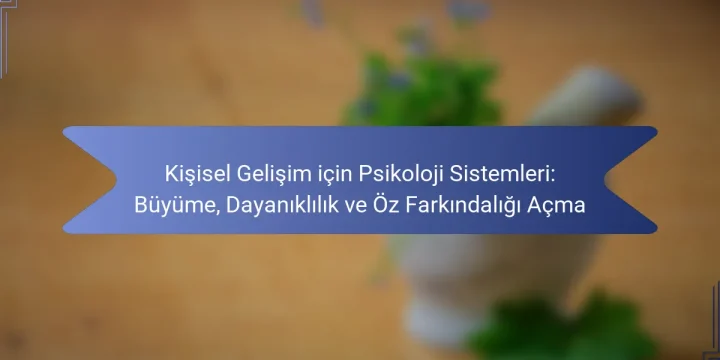 Kişisel Gelişim için Psikoloji Sistemleri: Büyüme, Dayanıklılık ve Öz Farkındalığı Açma