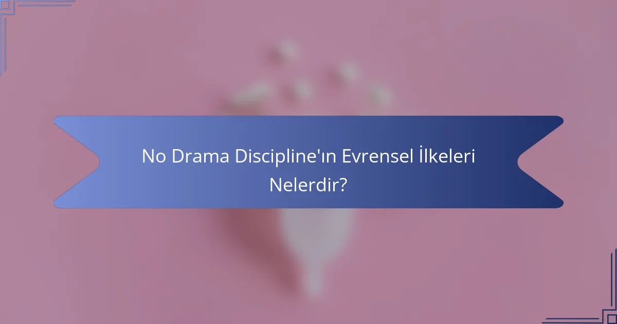 No Drama Discipline'ın Evrensel İlkeleri Nelerdir?