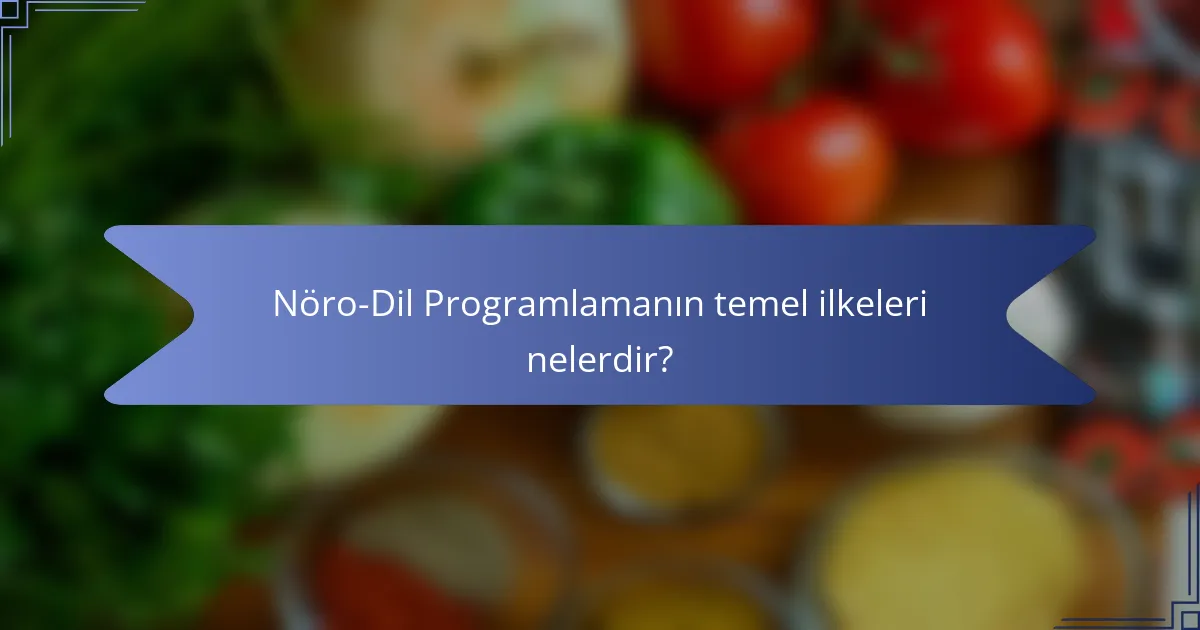 Nöro-Dil Programlamanın temel ilkeleri nelerdir?